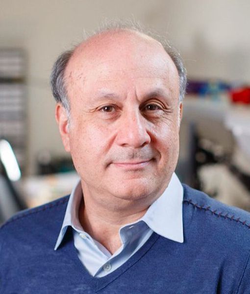 David Mark Siegel