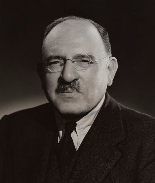 Robert Waley-Cohen
